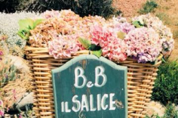 B&B Il Salice