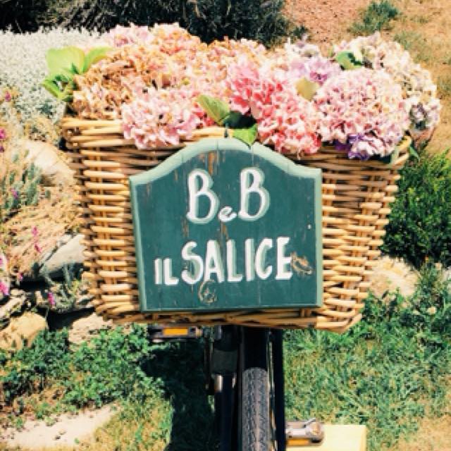 B&B Il Salice