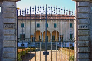 Sfoglia la galleria
